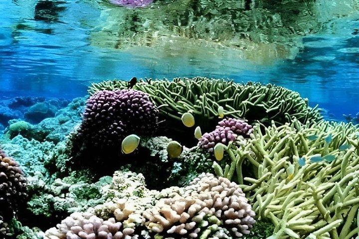 Hikkaduwa Day Excursion with a Licensed National Tourist Guide