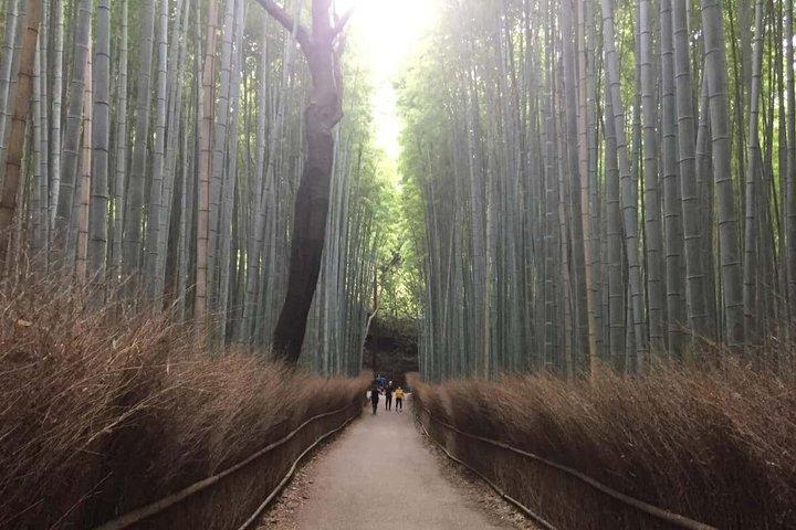 Visita guiada privada de três horas por Arashiyama, Kyoto.