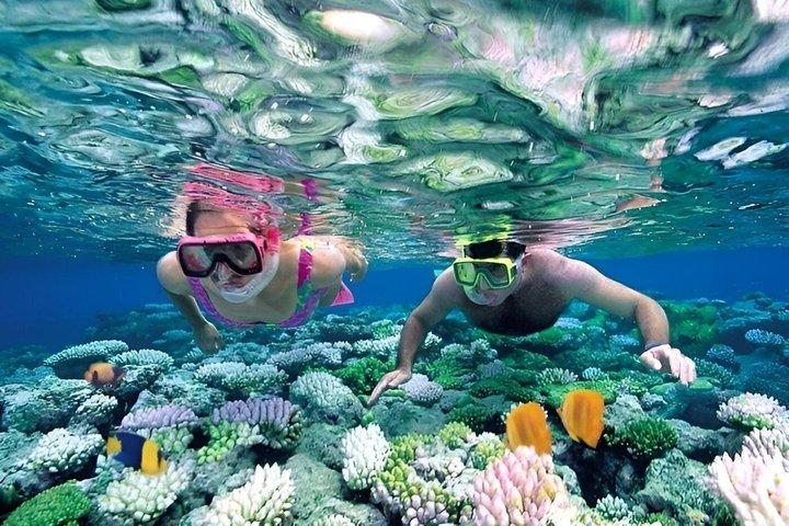 ホンタム島とニャチャン4WDツアー