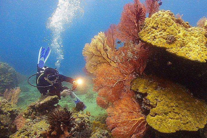 ホンタム島とニャチャン4WDツアー