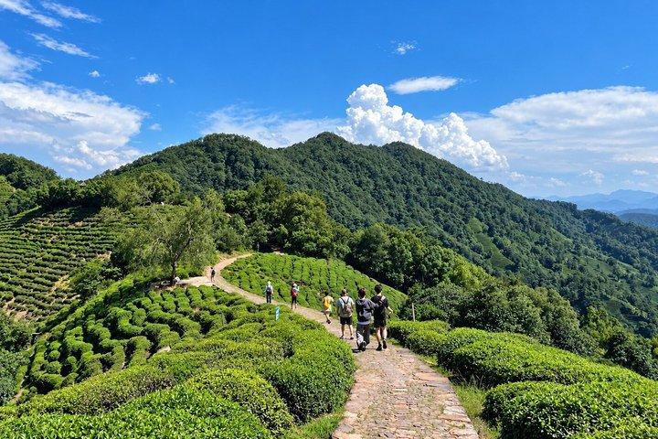 寧海自然逃避行：上海から茶畑と温泉へ