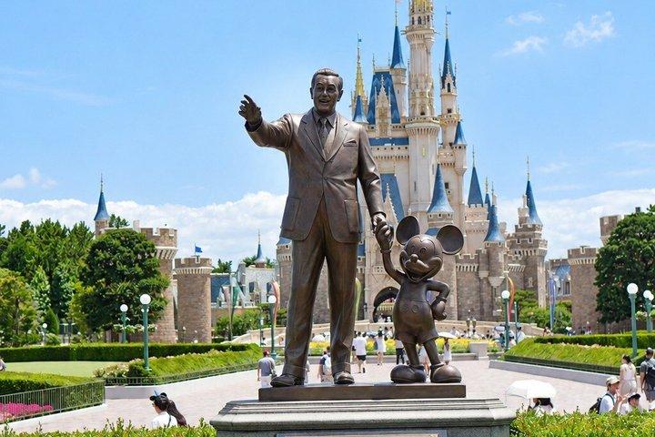 東京リゾート 2日間チケットと往復プライベート送迎