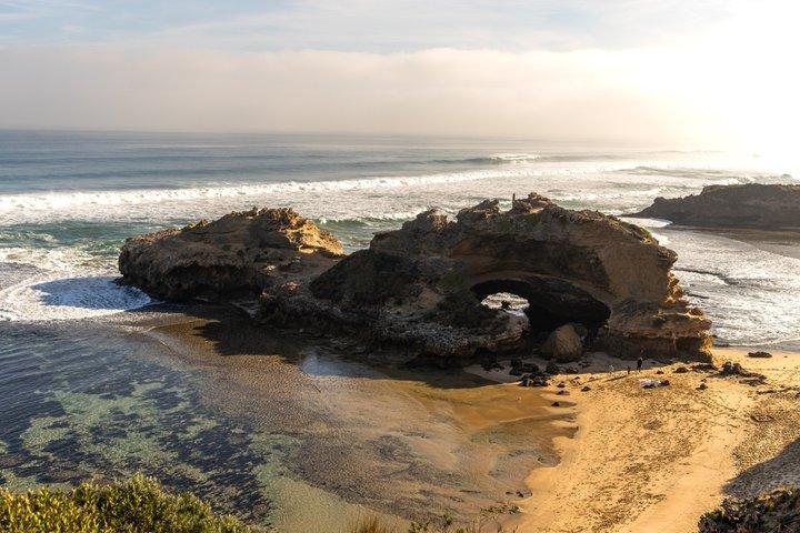 Mornington Peninsula Sightseeing tour with lunch
