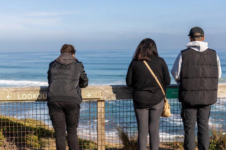 Mornington Peninsula Sightseeing tour with lunch