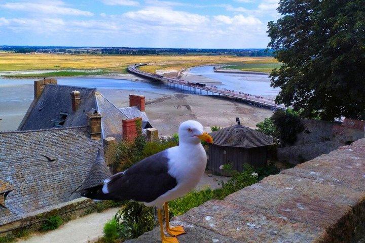 From Paris: Mont Saint-Michel Guided Day Trip with Entry
