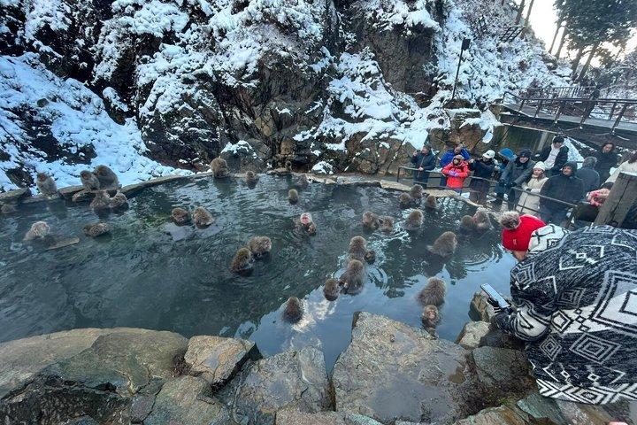 東京から長野へのスノーモンキープライベートカスタマイズツアー