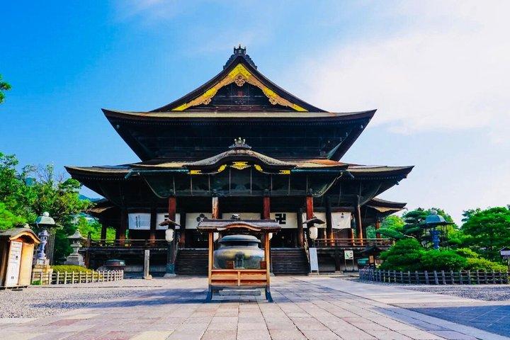 東京から長野へのスノーモンキープライベートカスタマイズツアー