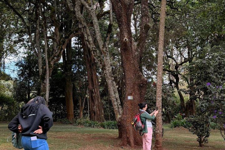 ナイロビエリア感覚庭園プライベート車両ツアー
