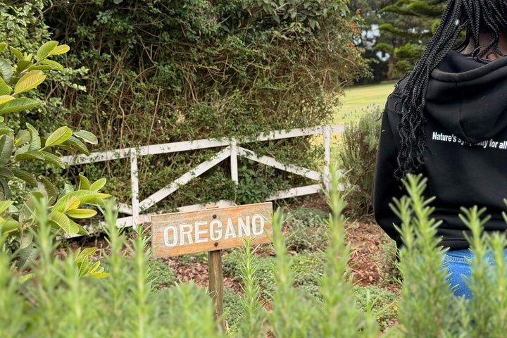 ナイロビエリア感覚庭園プライベート車両ツアー