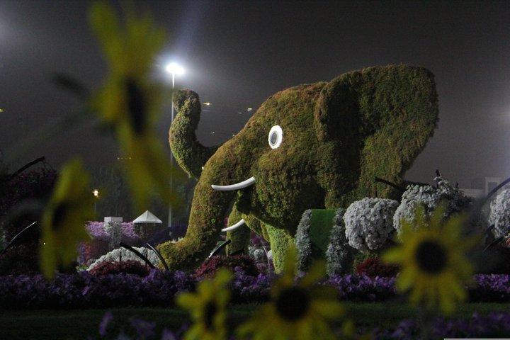 Miracle Garden Skip the Line Tickets with Private Transfer Option