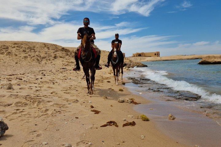 マカディ湾クアッドバイク乗馬ラクダ乗り