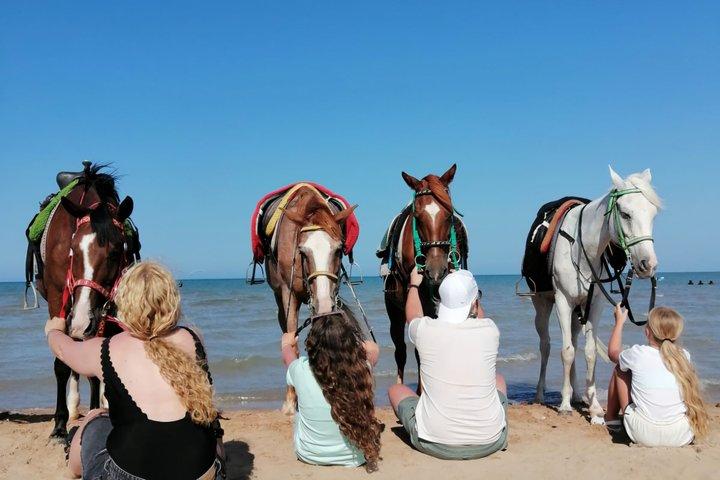 マカディ湾クアッドバイク乗馬ラクダ乗り
