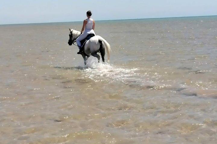 マカディ湾クアッドバイク乗馬ラクダ乗り