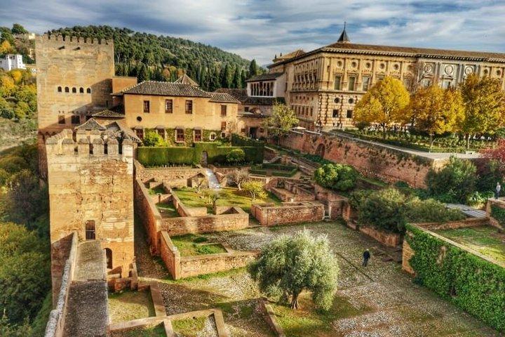 Alhambra Private Walking Tour Experience