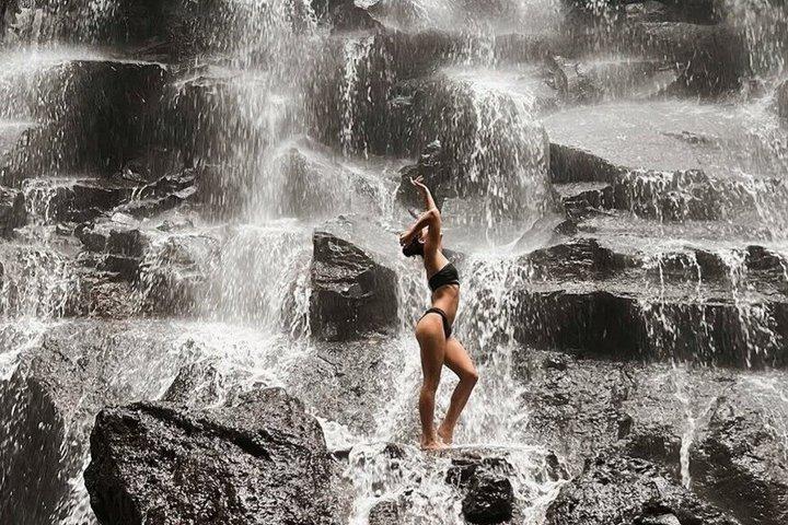 Best Ubud Private Tour : Monkey Forest, Rice Terraces & Waterfall