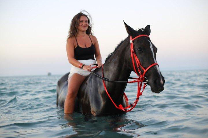 ハルガダ：朝または夕方の乗馬と水泳