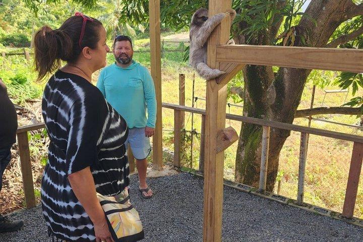 Roatan Sloth Monkeys Macaws,Chocolate, Rum Factory