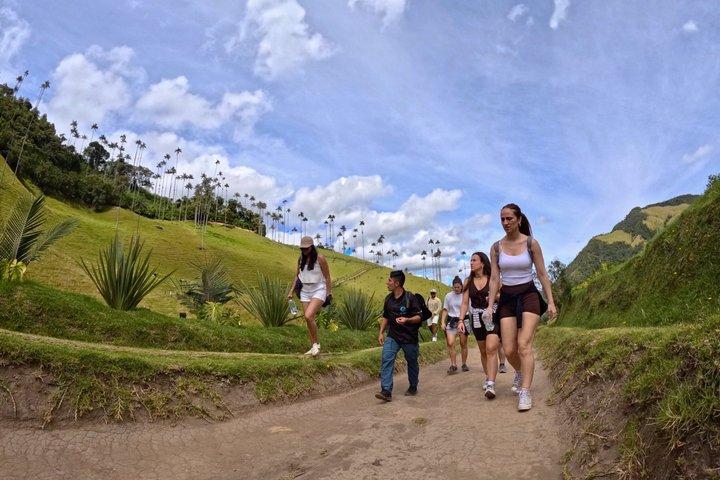 Cocora Valley + Traditional Coffee & Salento
