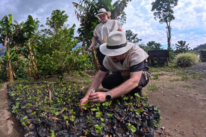 Cocora Valley + Traditional Coffee & Salento