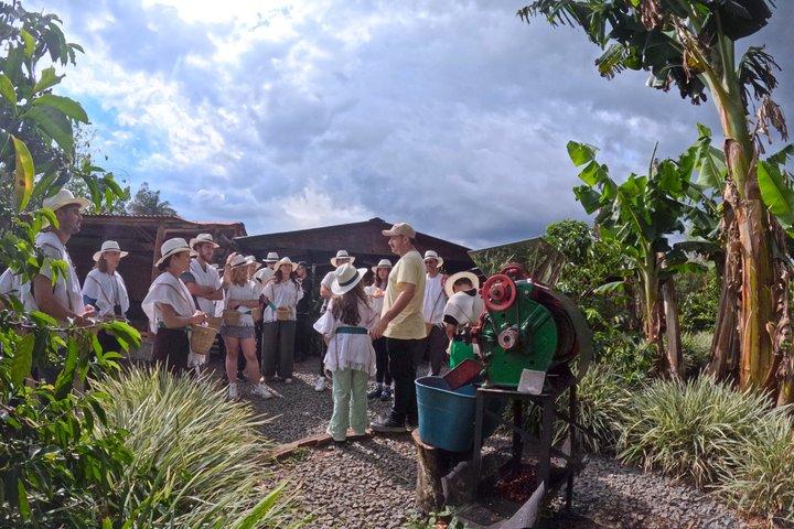 Cocora Valley + Traditional Coffee & Salento