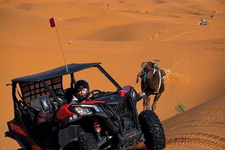 Merzouga Buggy & Sandboarding