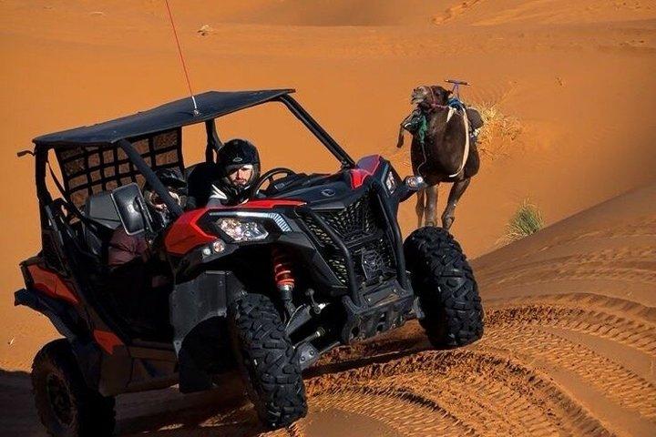 Merzouga Buggy & Sandboarding