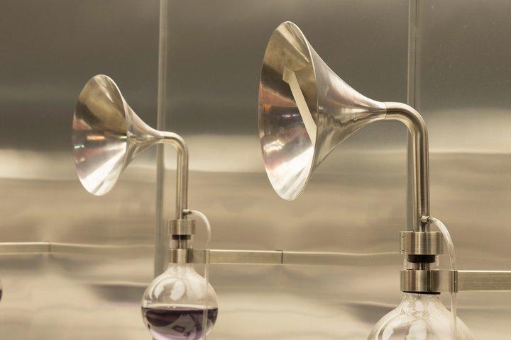 Concha y Toro Premium Sensory