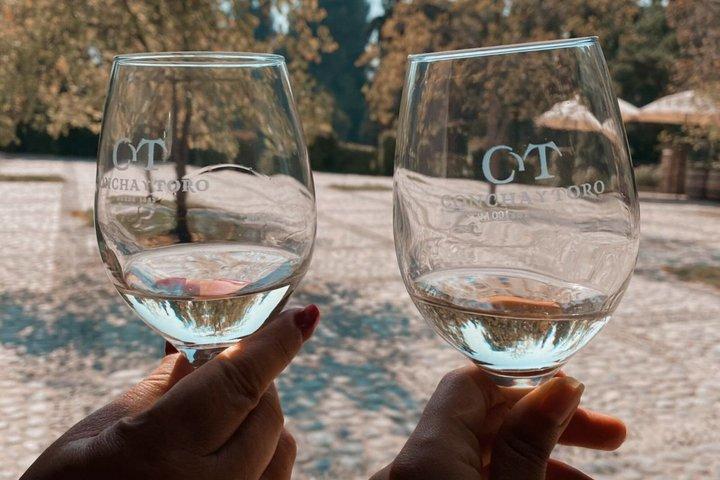 Concha y Toro Premium Sensory