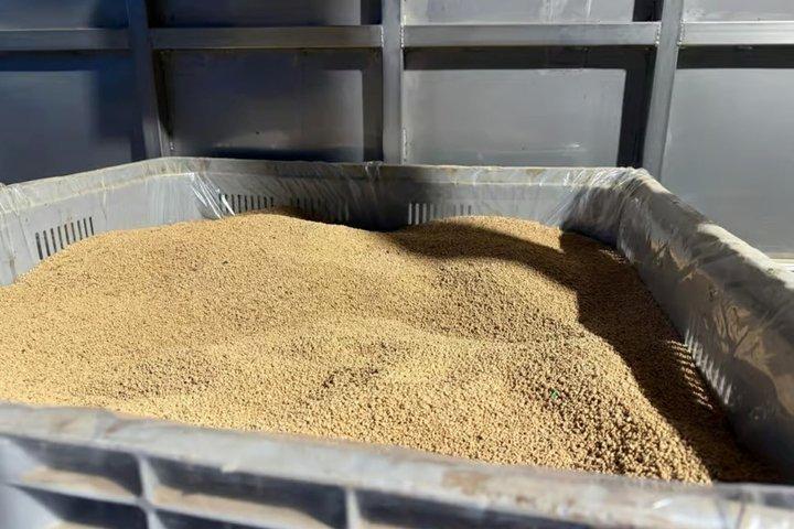 Olive Oil Tour and Tasting Experience in Salento