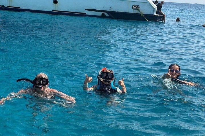ドルフィンハウス＆ホワイトアイランドへの4時間プライベートスピードボートツアー