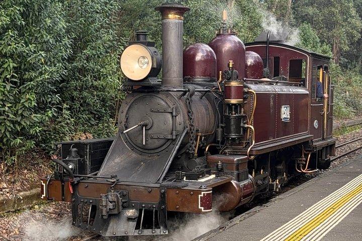 Puffing Billy com Santuário Lunar e Tour da Praia de Brighton