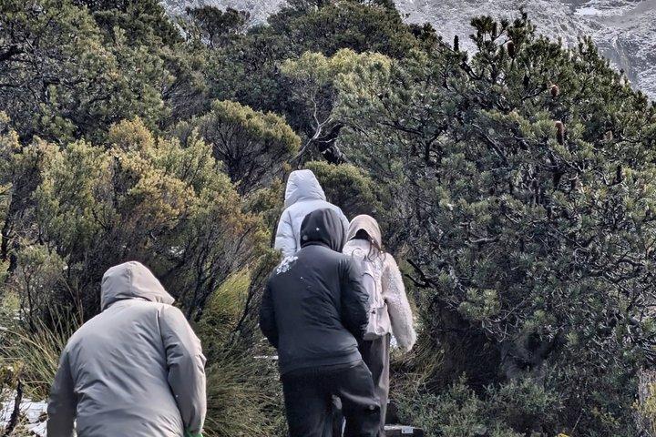 Cradle Mountain Day Trip from Hobart with Scenic Stops