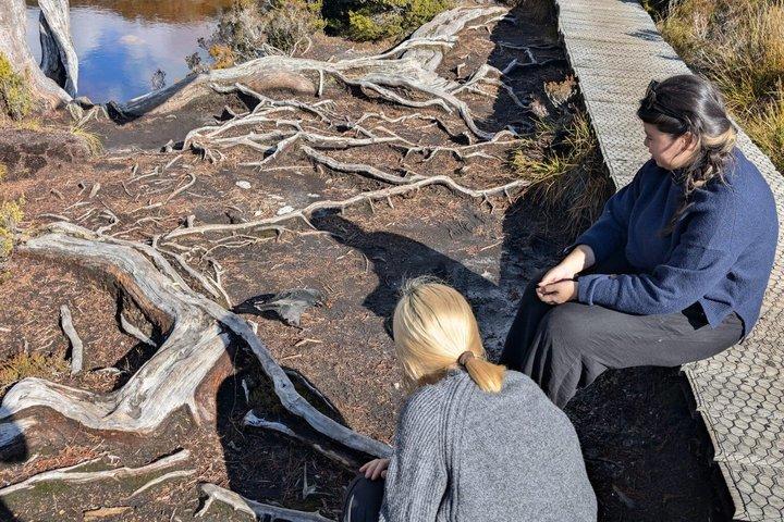 Cradle Mountain Day Trip from Hobart with Scenic Stops