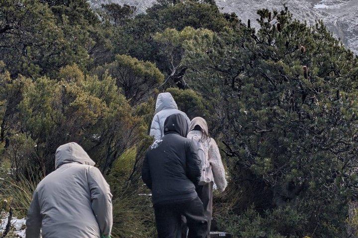 Cradle Mountain Day Trip from Hobart with Scenic Stops