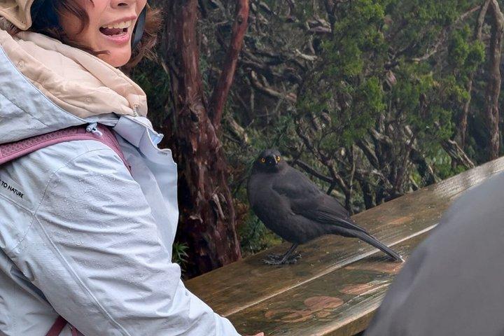 Cradle Mountain Day Trip from Hobart with Scenic Stops