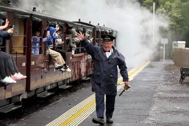 Puffing Billy com Santuário Lunar e Tour da Praia de Brighton