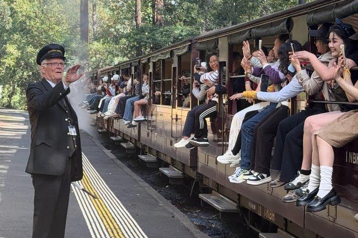 Puffing Billy com Santuário Lunar e Tour da Praia de Brighton
