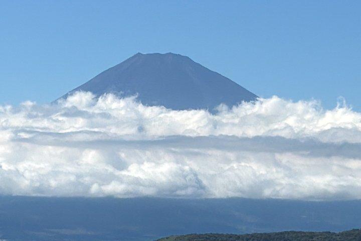 東京から富士山と箱根を巡るプライベート日帰りツアー（10時間）