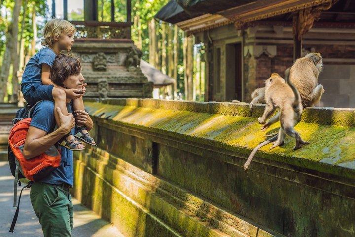 Ultimate Ubud Experience All Inclusive Private Day Tour