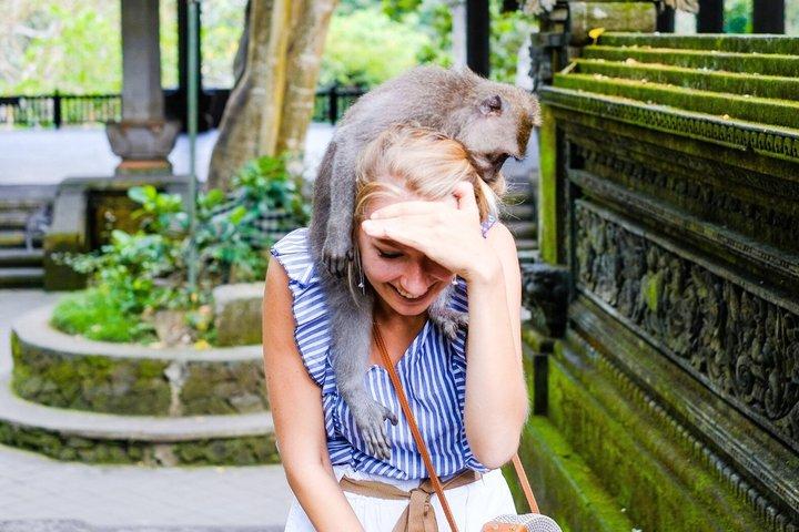 Ultimate Ubud Experience All Inclusive Private Day Tour