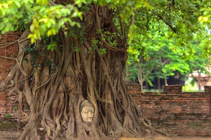 From Bangkok: Ayutthaya Temples Small Group Tour with Lunch