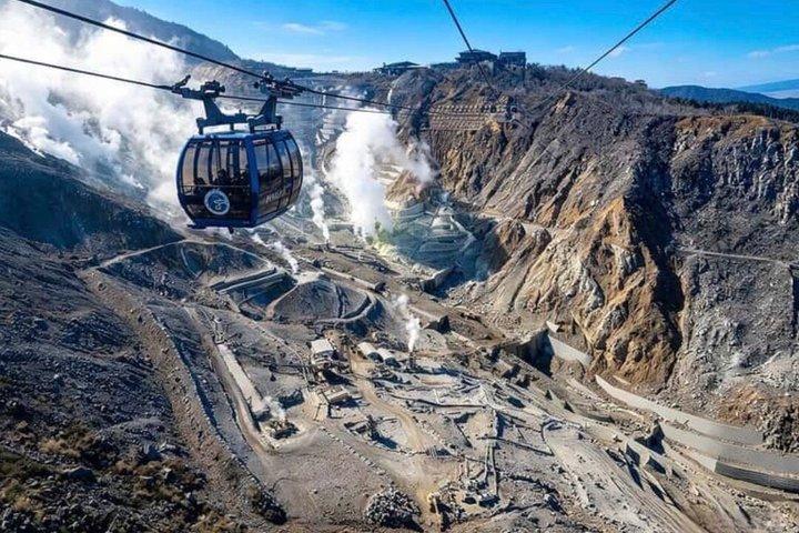 東京から富士山と箱根を巡るプライベート日帰りツアー（10時間）