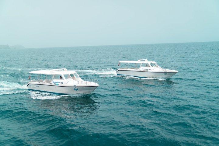 モスクート：2時間のイルカウォッチングと歴史的な海岸線ボートツアー