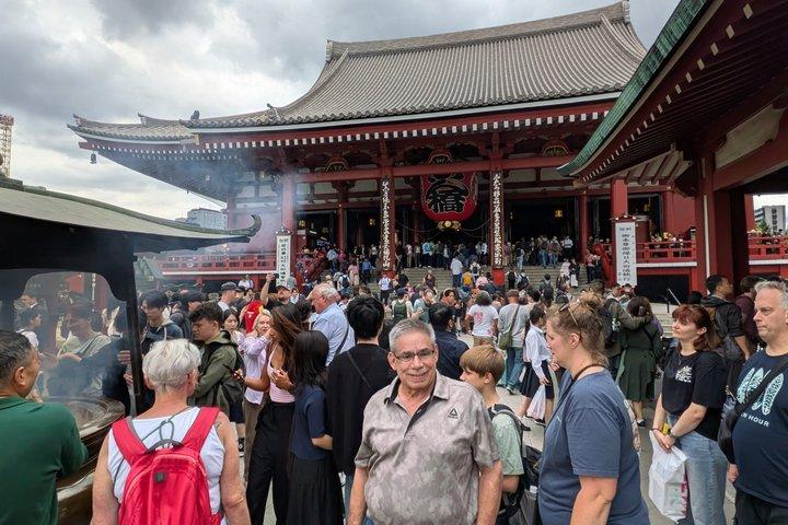Best of Tokyo Private Tour from Yokohama & Tokyo Ports or Hotels