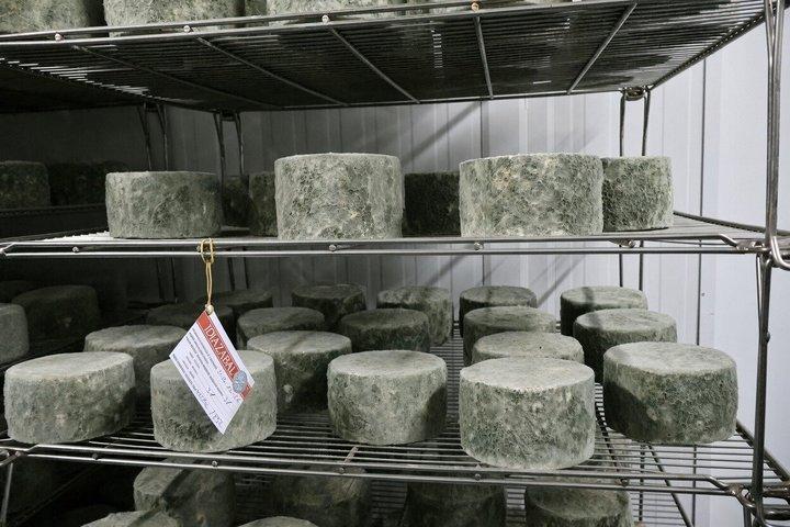 Private Basque Cheese & Cider Experience from San Sebastián