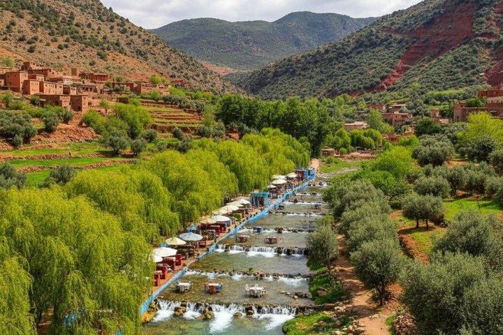 Marrakech: Ourika Valley, Atlas Waterfalls with Guide &Lunch