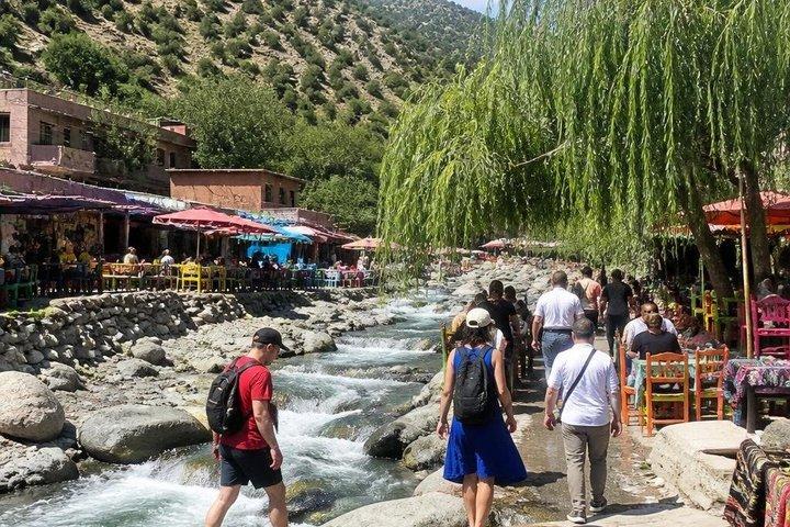 Marrakech: Ourika Valley, Atlas Waterfalls with Guide &Lunch