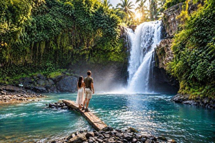 Private Ubud Tour: Waterfall, Rice Terrace & Monkey Forest