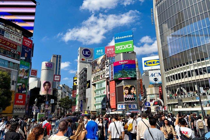 Tokyo Private Custom Tour by Car with Guide