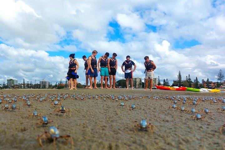 Gold Coast Kayaking & Snorkelling Tour (2.5 Hours)